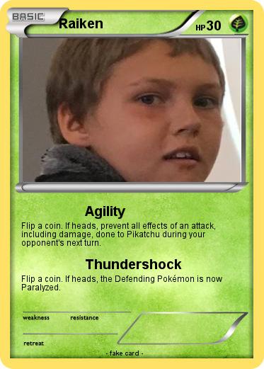 Pokemon Raiken