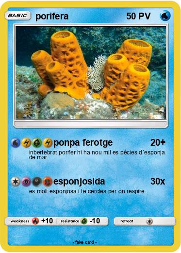 Pokemon porifera