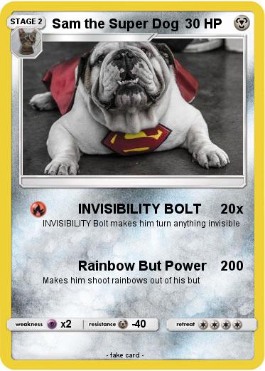 Pokemon Sam the Super Dog