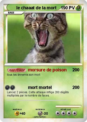 Pokemon le chaaat de la mort