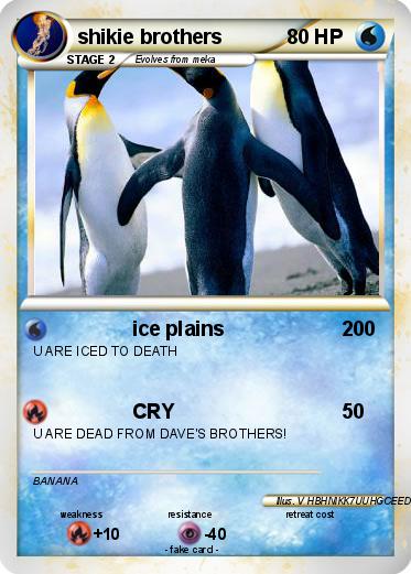 Pokemon shikie brothers