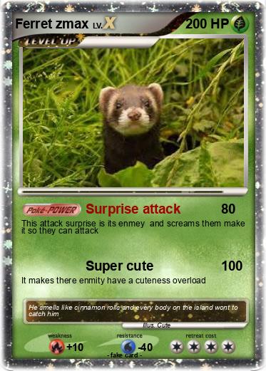 Pokemon Ferret zmax