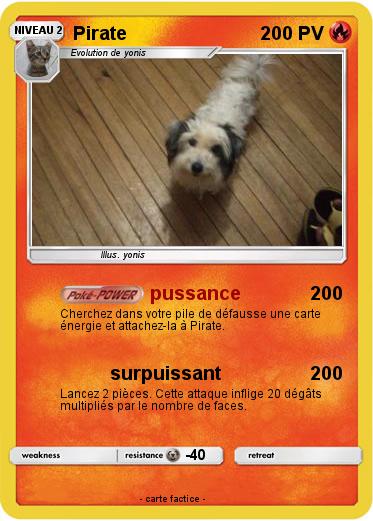 Pokemon Pirate