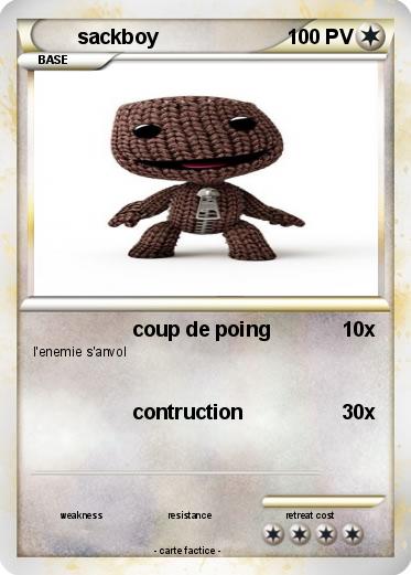Pokemon sackboy