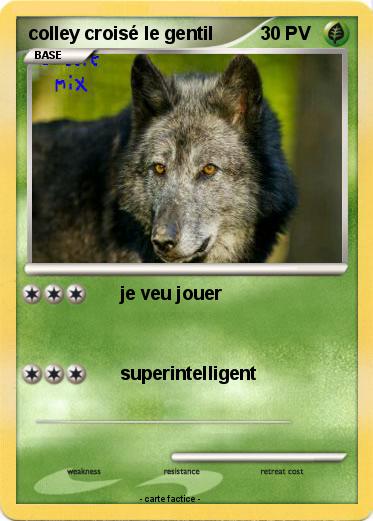 Pokemon colley croisé le gentil