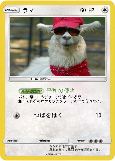 Pokemon ラマ