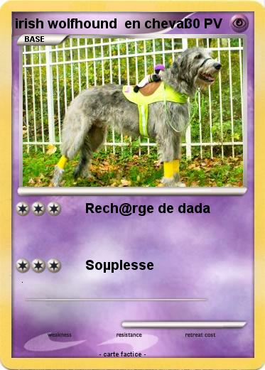Pokemon irish wolfhound  en cheval