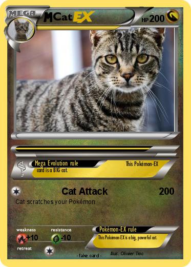 Pokemon Cat