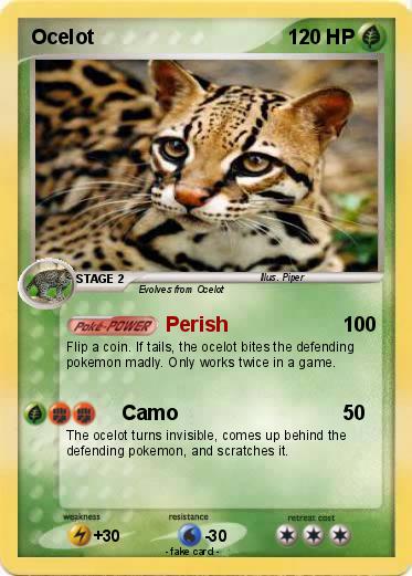 Pokemon Ocelot