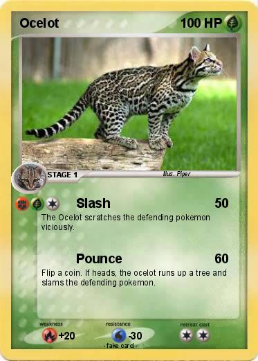 Pokemon Ocelot