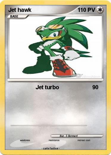 Pokemon Jet hawk