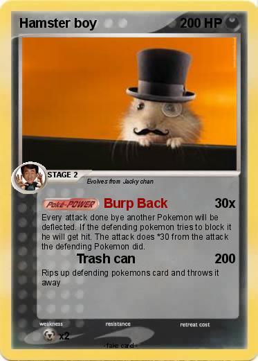 Pokemon Hamster boy