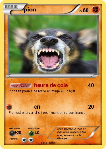 Pokemon pion