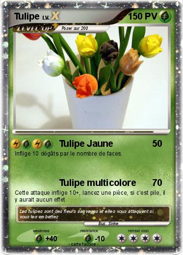 Pokemon Tulipe