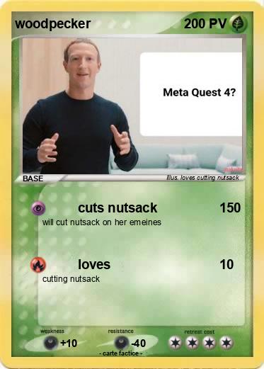Pokemon woodpecker