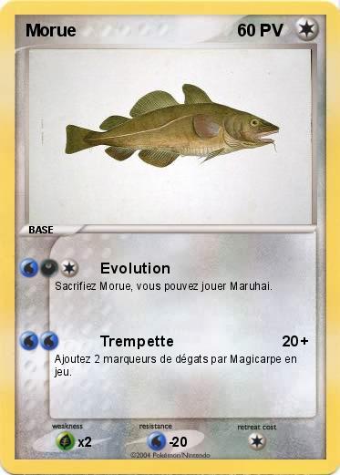 Pokemon Morue
