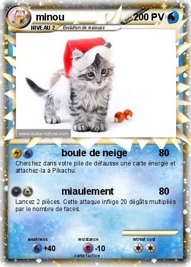 Pokemon minou
