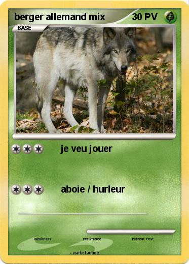 Pokemon berger allemand mix