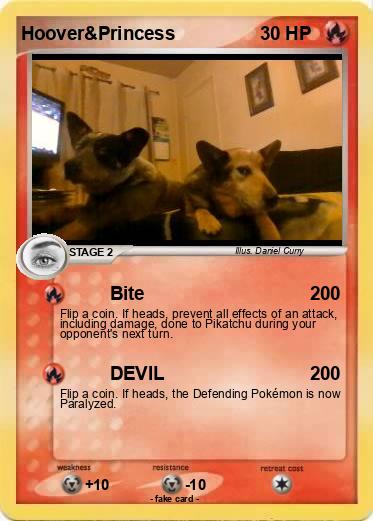 Pokemon Hoover&Princess