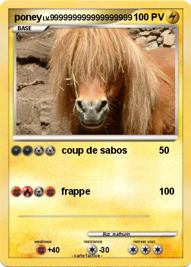 Pokemon poney