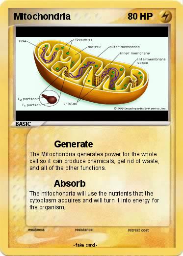 Pokemon Mitochondria