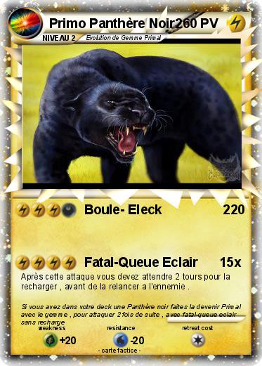 Pokemon Primo Panthère Noir2