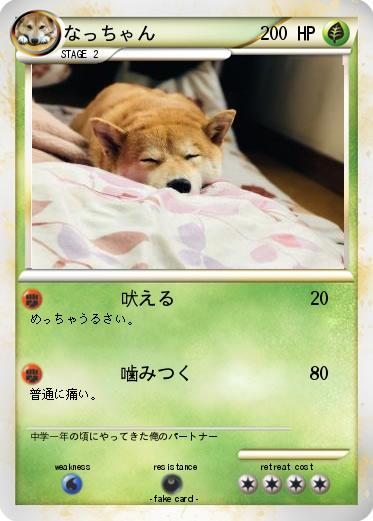 Pokemon なっちゃん