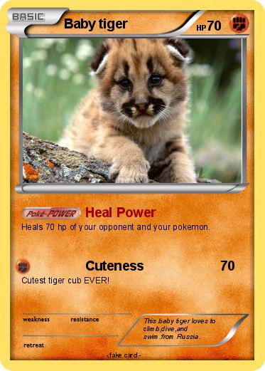 Pokemon Baby tiger