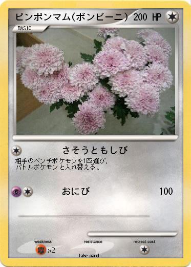 Pokemon ピンポンマム(ボンビーニ)