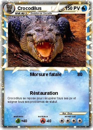 Pokemon Crocodilus