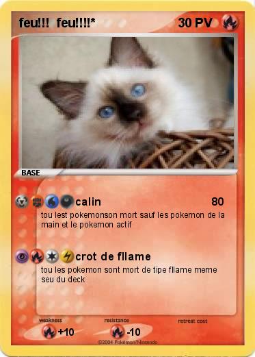 Pokemon feu!!!  feu!!!!*