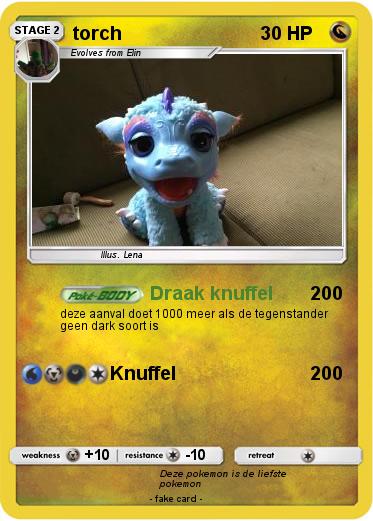 Pokemon torch