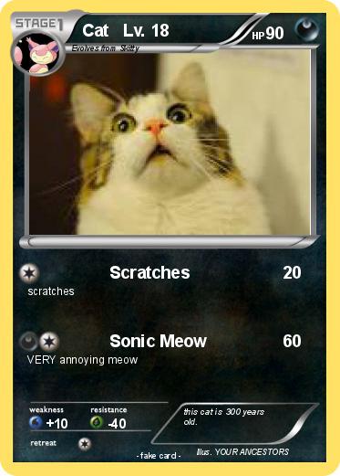 Pokemon Cat   Lv. 18