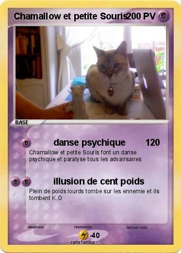 Pokemon Chamallow et petite Souris