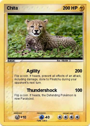Pokemon Chita