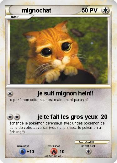 Pokemon mignochat