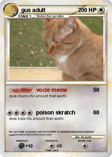 Pokemon gus adult