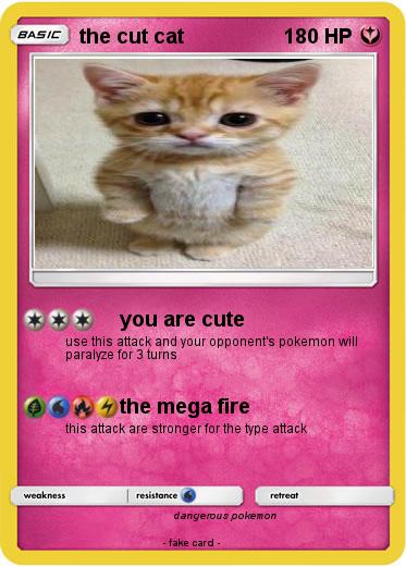 Pokemon the cut cat