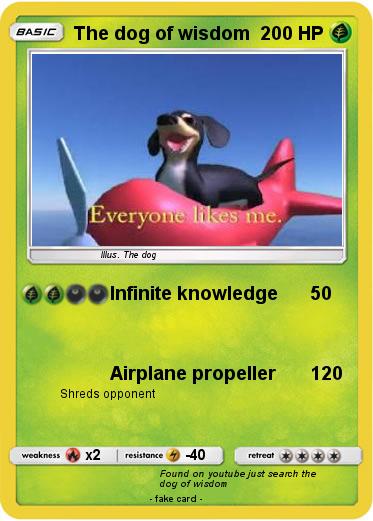 Pokemon The dog of wisdom