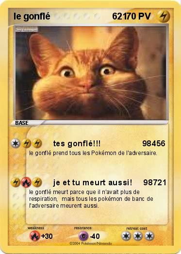 Pokemon le gonflé                         621