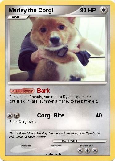 Pokemon Marley the Corgi