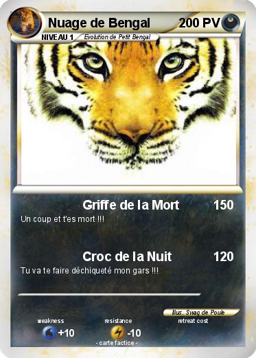 Pokemon Nuage de Bengal