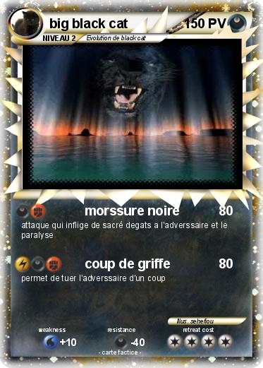 Pokemon big black cat