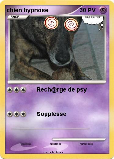 Pokemon chien hypnose