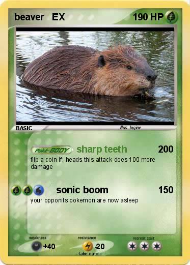 Pokemon beaver   EX