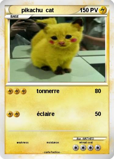 Pokemon pikachu  cat