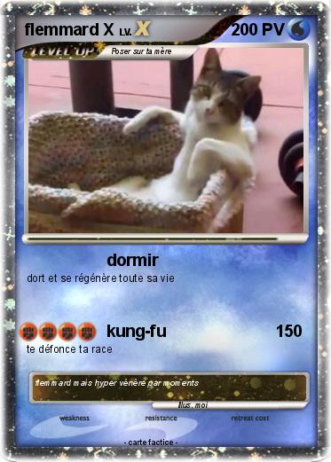 Pokemon flemmard X