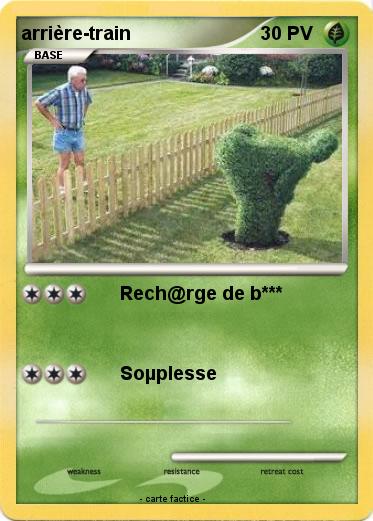 Pokemon arrière-train