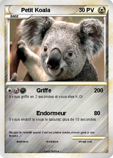 Pokemon Petit Koala