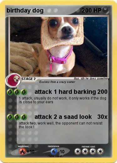 Pokemon birthday dog